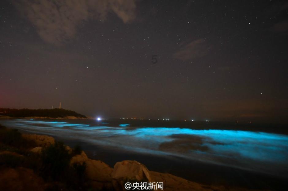 支付宝必薅羊毛有哪些？游戏画面