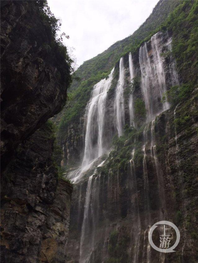 厉害了我的巧虎8